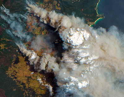На ПМЭФ состоялась сессия, посвящённая формированию мироустройства